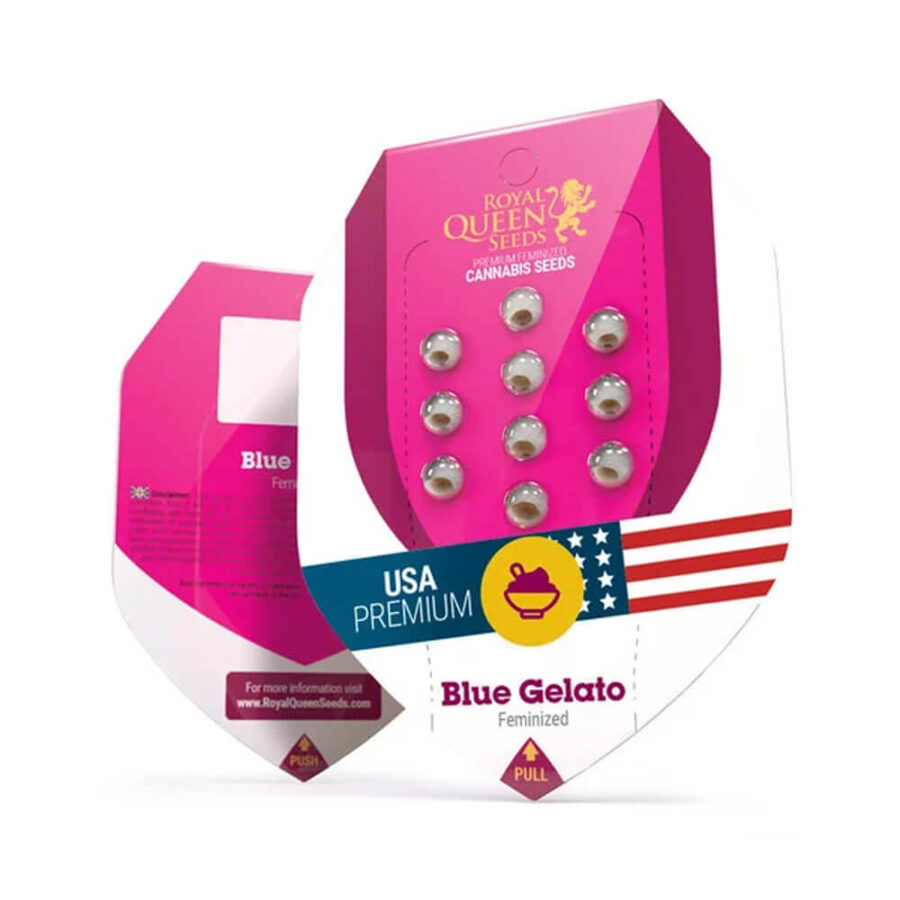 Royal Queen Seeds Blue Gelato Feminized (3 Samen Packung)