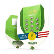 Royal Queen Seeds Mimosa Auto Autoflowering (5 Samen Packung)