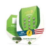 Royal Queen Seeds North Thunderfuck autoflowering cannabis seeds (3 Samen Packung)