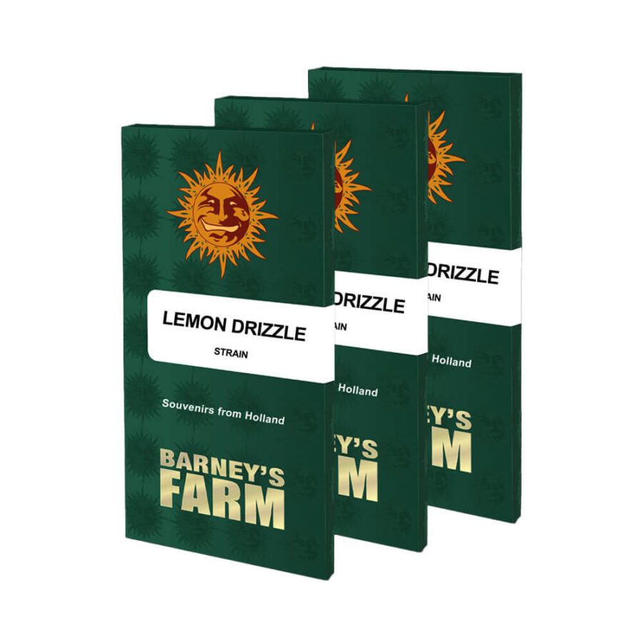 Barney's Farm Lemon Drizzle feminized cannabis seeds (5 Samen Packung)