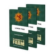 Barney's Farm Lemon Tree feminized cannabis seeds (3 Samen Packung)